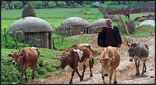 albanian bunker farm